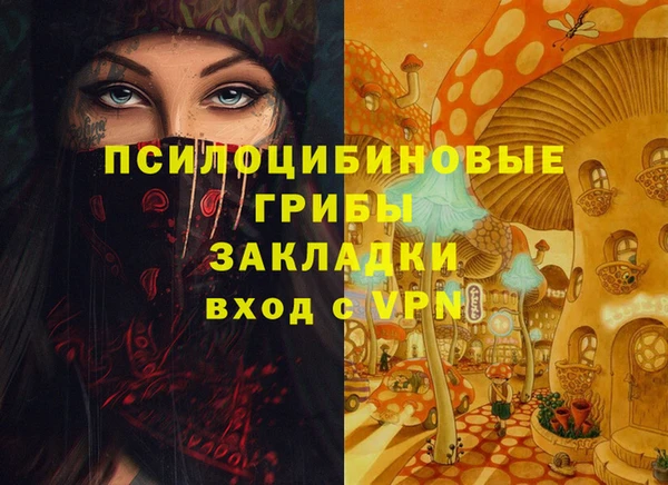 ПСИЛОЦИБИНОВЫЕ ГРИБЫ Бронницы